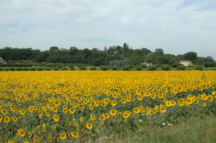  - Lourmarin