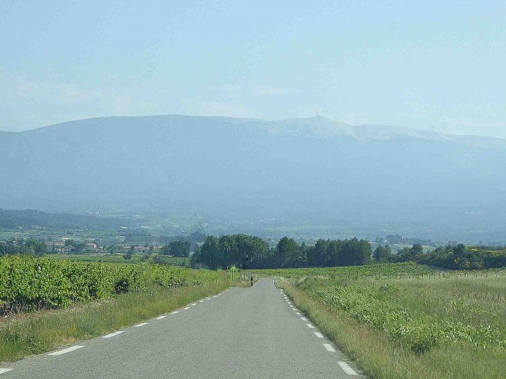 Au pied du Mont Ventoux - Méthamis