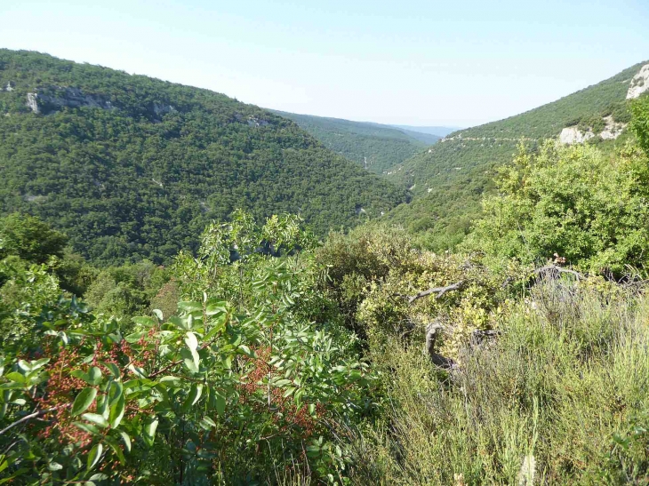 Les gorges de la Nesque - Monieux