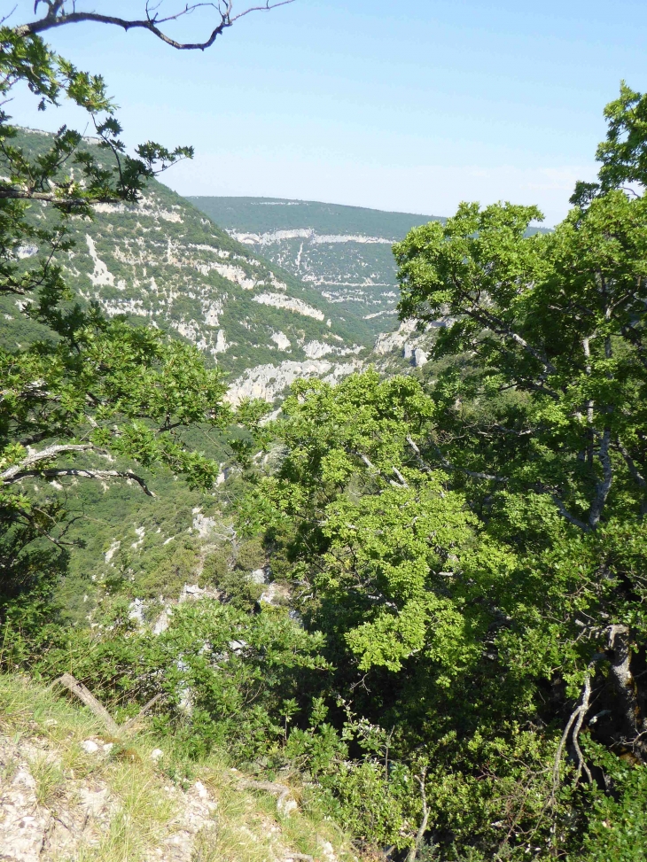 Les gorges de la Nesque - Monieux