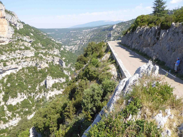 Les ruines du château - Monieux