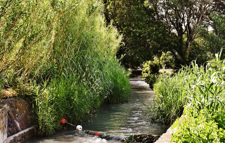 Canal de Crillon - Morières-lès-Avignon