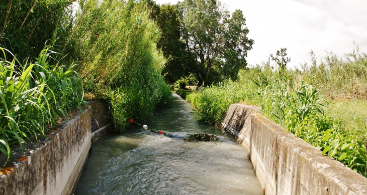 Canal de Crillon - Morières-lès-Avignon