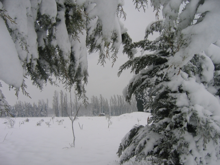 Mornas plaine sous la neige