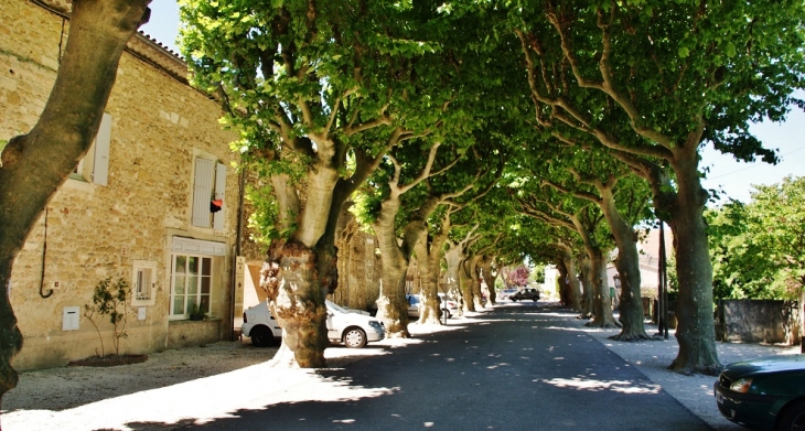 Le Village - Richerenches