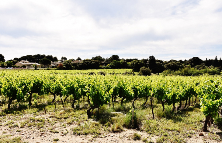 La Commune - Saint-Saturnin-lès-Avignon