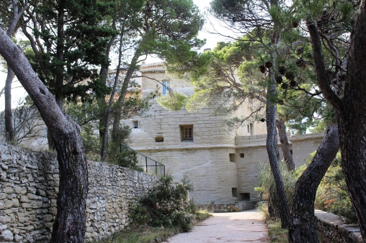 Le château de saumane - Saumane-de-Vaucluse