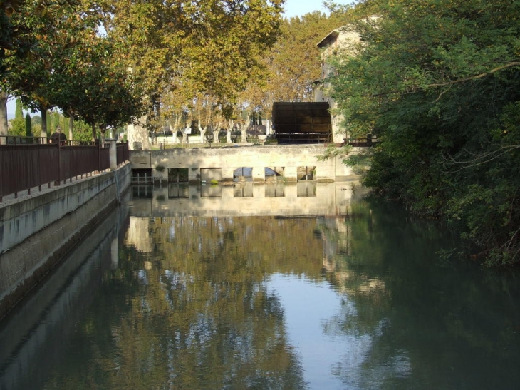 Le canal de Crapentras au moulin St Pierre - Taillades