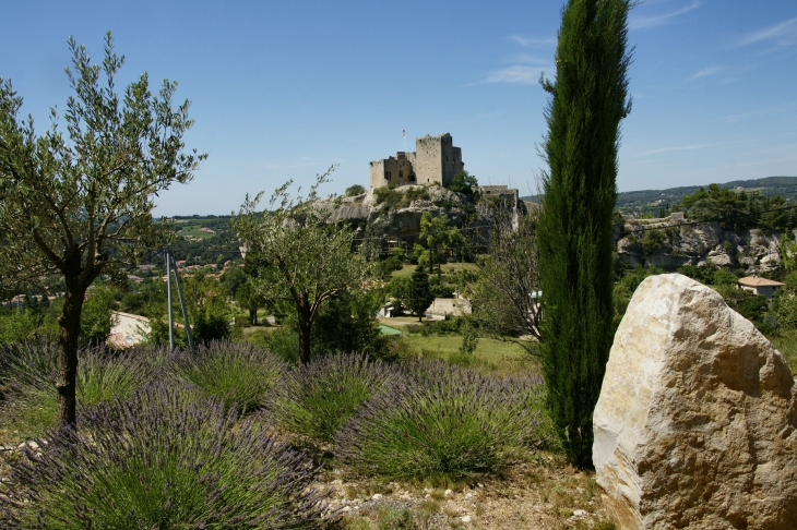 Crédit : Jean CHAMBELLANT - Vaison-la-Romaine