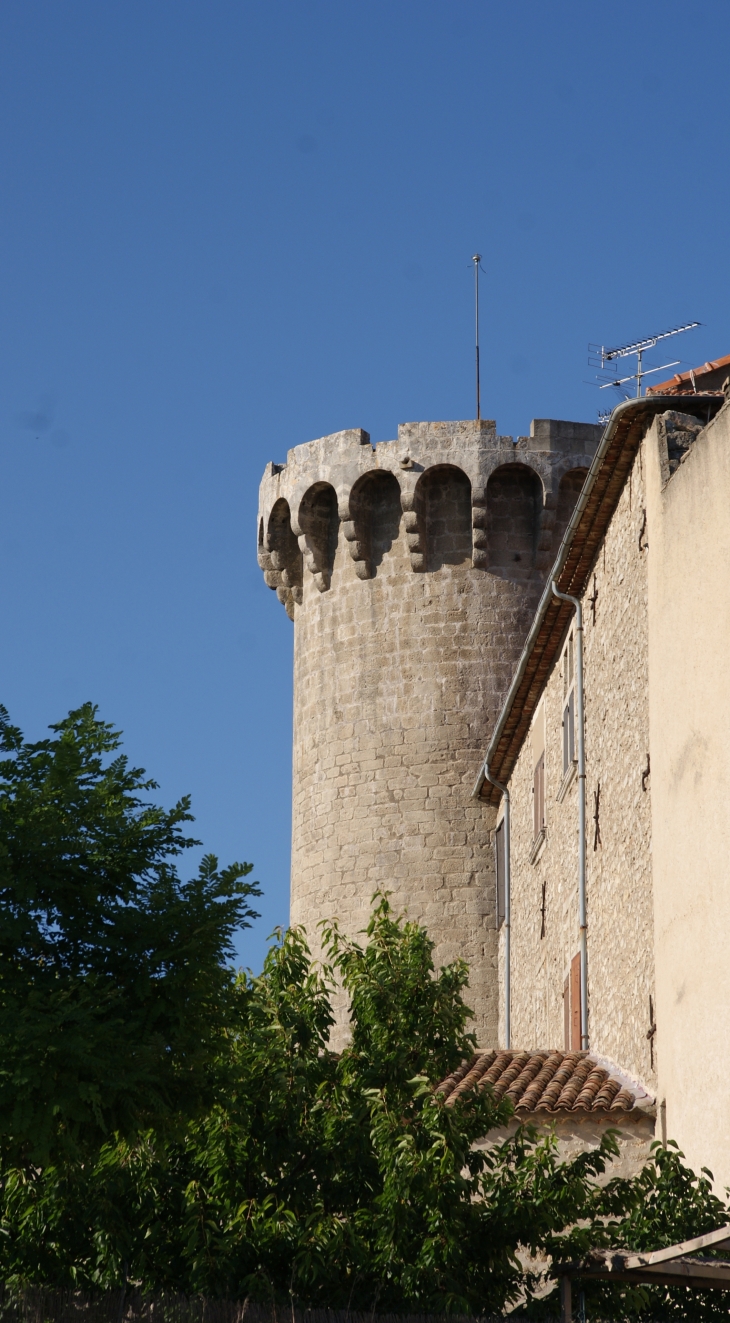 Tour du Château de Viens