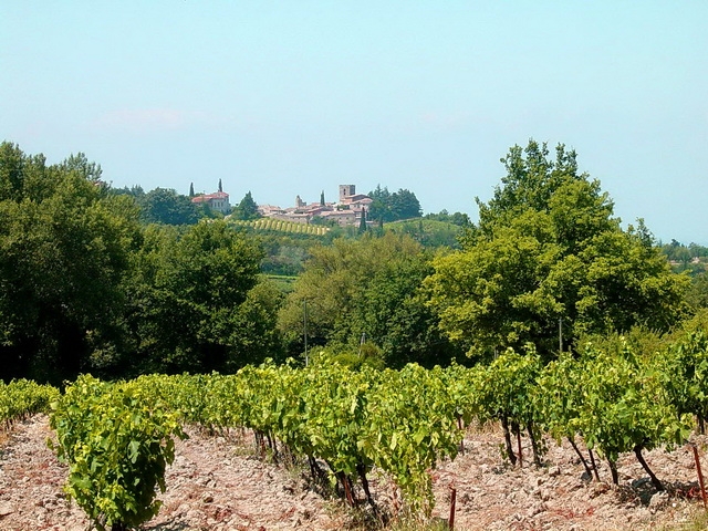 Vue du village depuis le quartier St Laurent - Villedieu