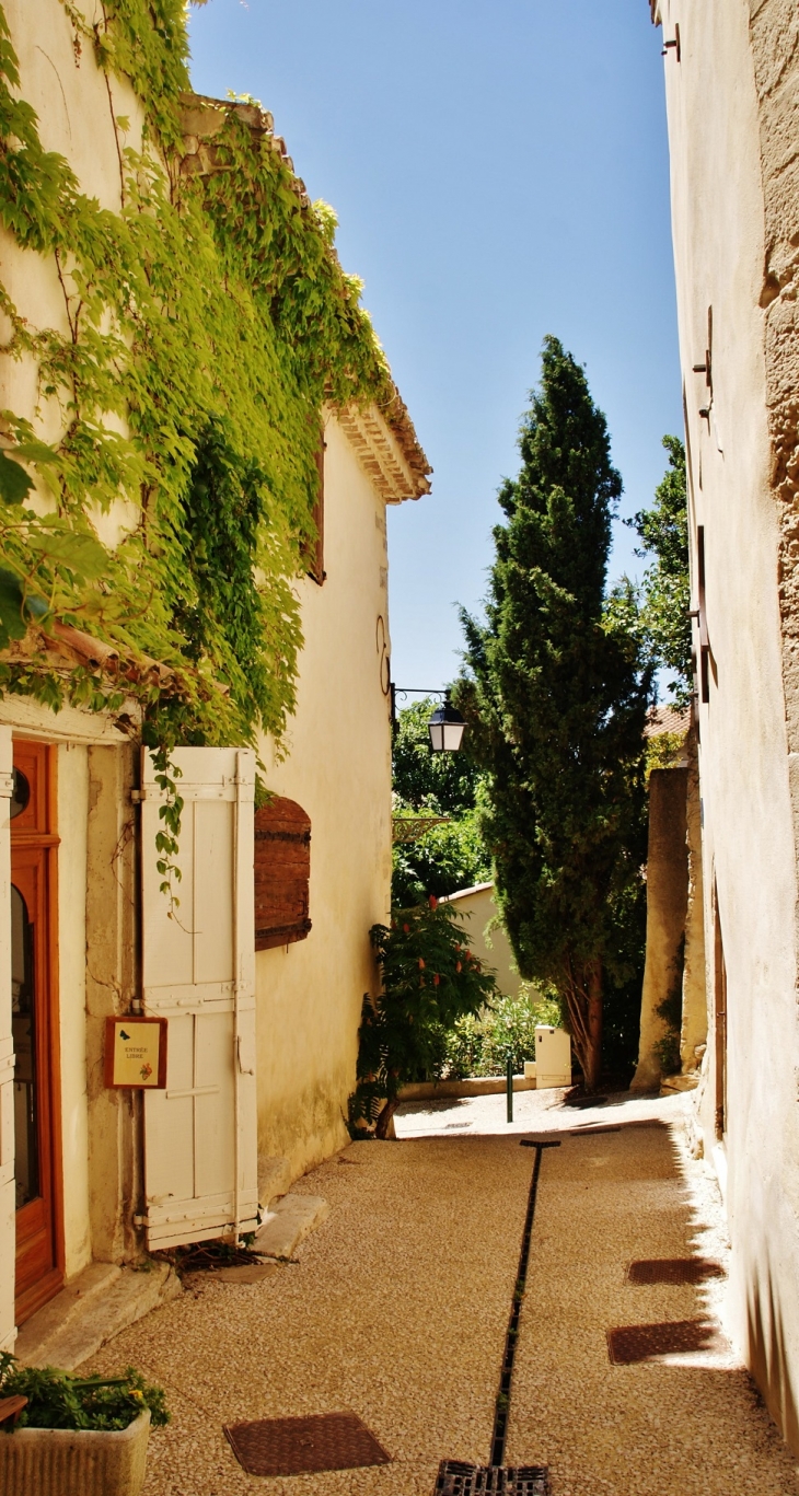 Le Village - Visan