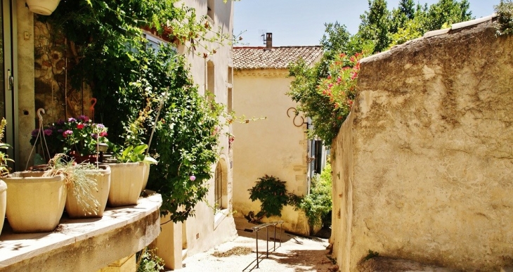 Le Village - Visan