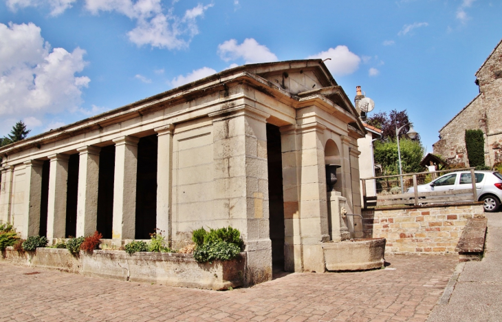 Le Lavoir - Ambérieu-en-Bugey