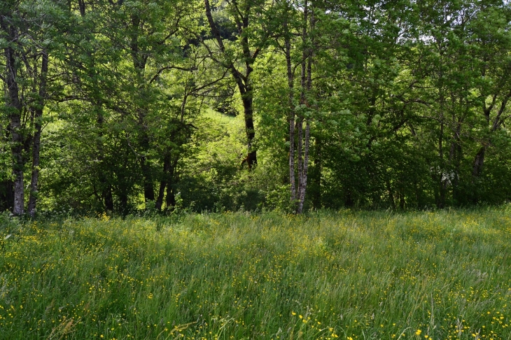 -/Petit-Vallon ( Commune D'Apremont )