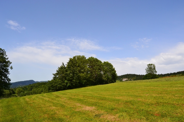 -/Petit-Vallon ( Commune D'Apremont )