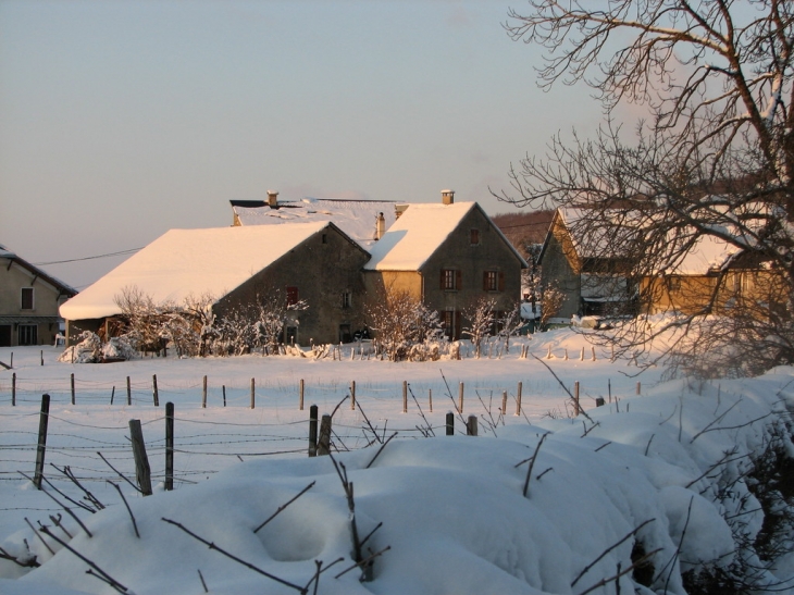 ARANC SOUS LA NEIGE