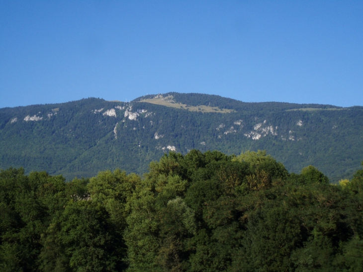 Le sorgia - Bellegarde-sur-Valserine