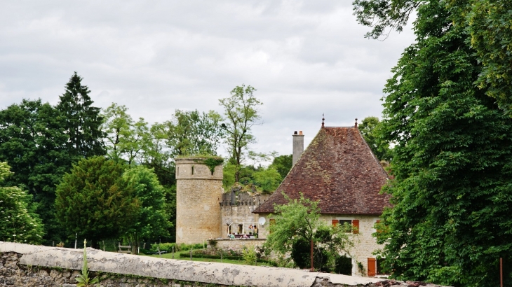 ...Château de Bohas 14 Em Siècle - Bohas-Meyriat-Rignat