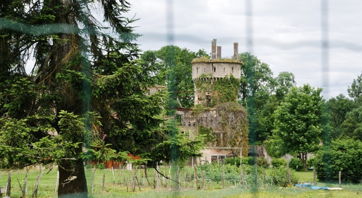 ...Château de Bohas 14 Em Siècle - Bohas-Meyriat-Rignat