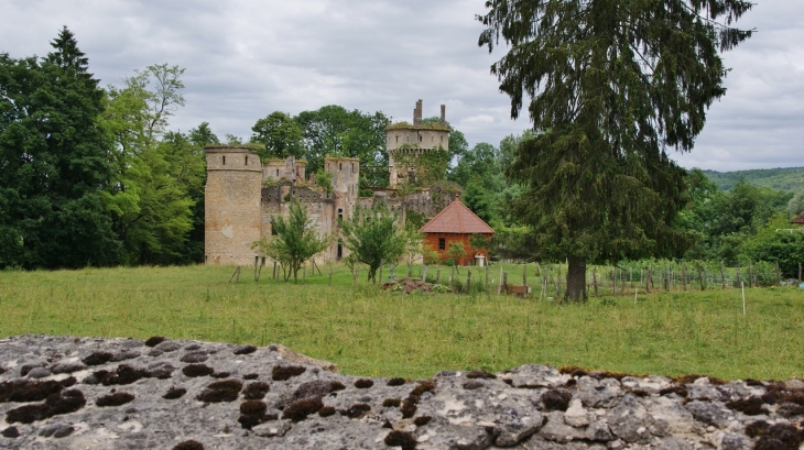 ...Château de Bohas 14 Em Siècle - Bohas-Meyriat-Rignat