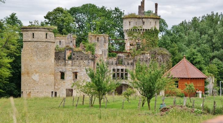 ...Château de Bohas 14 Em Siècle - Bohas-Meyriat-Rignat