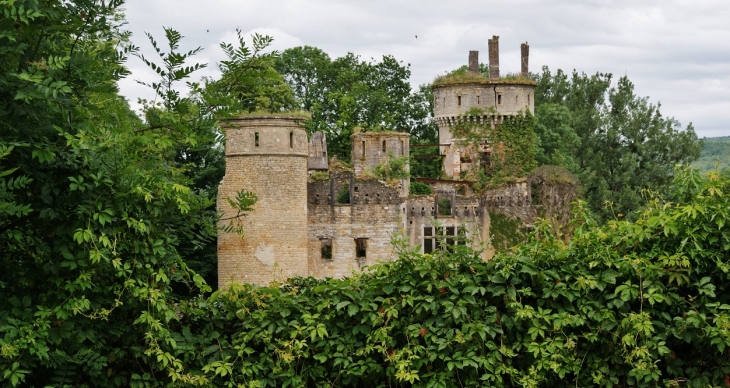 ...Château de Bohas 14 Em Siècle - Bohas-Meyriat-Rignat