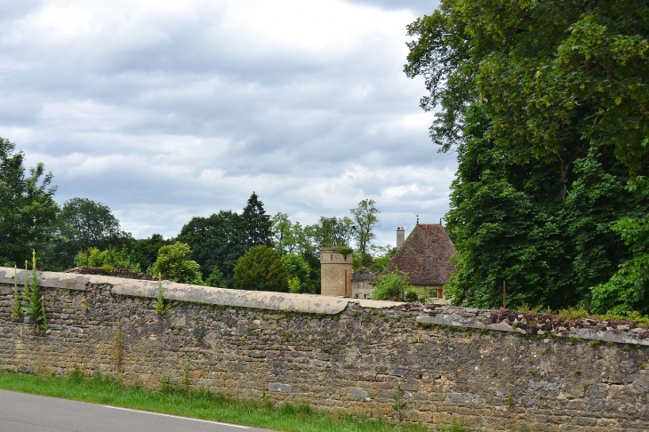 ...Château de Bohas 14 Em Siècle - Bohas-Meyriat-Rignat