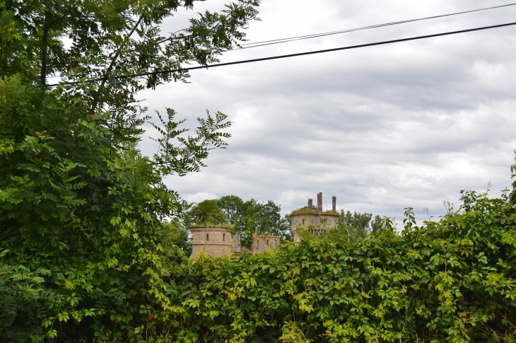 ...Château de Bohas 14 Em Siècle - Bohas-Meyriat-Rignat