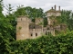 ...Château de Bohas 14 Em Siècle