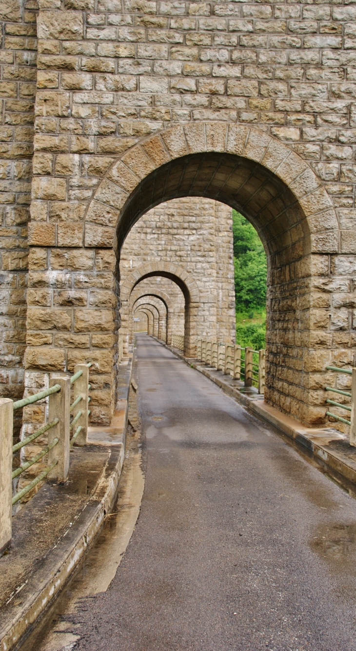 ..Viaduc de cize-Bolozon