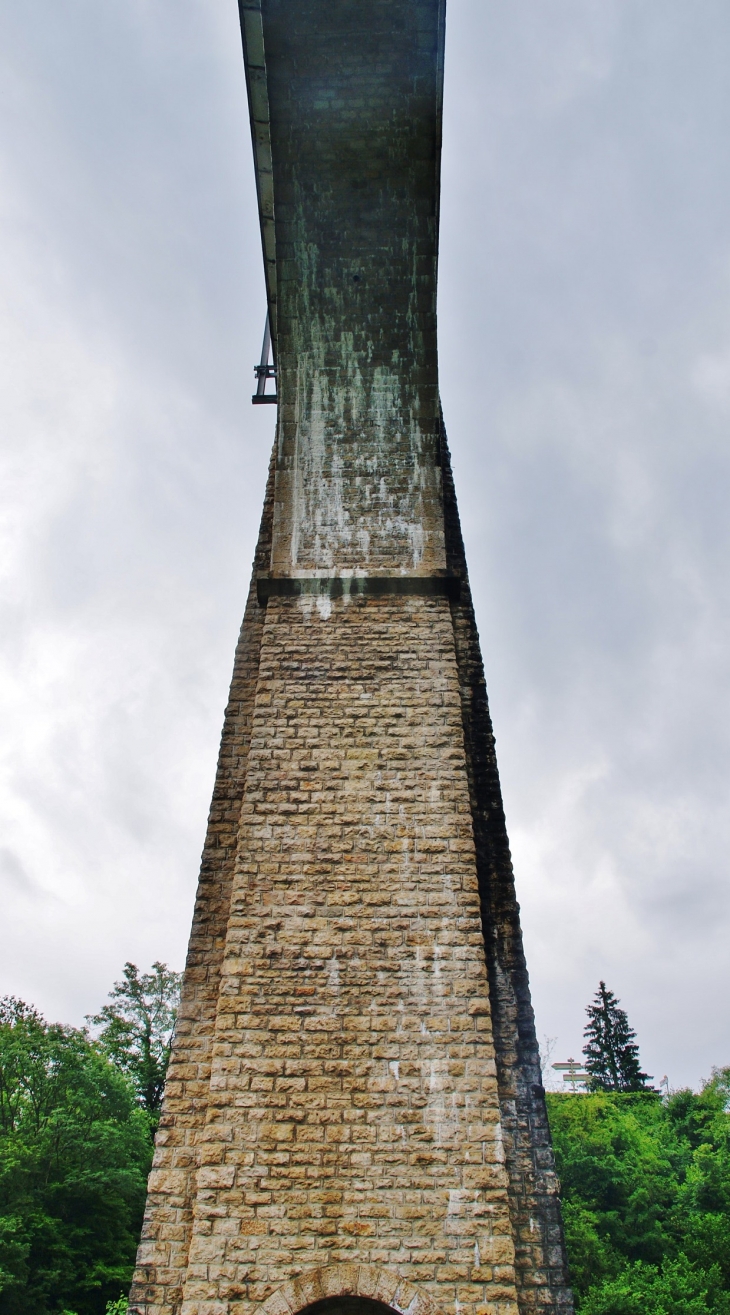 ..Viaduc de cize-Bolozon