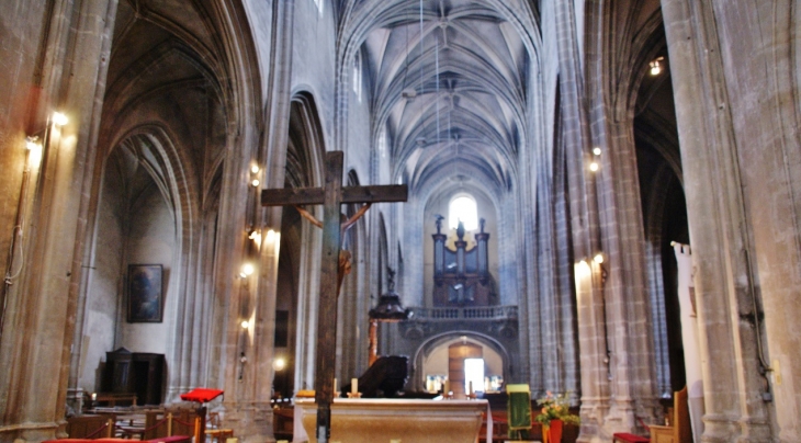 /*Co-Cathédrale Notre-Dame - Bourg-en-Bresse