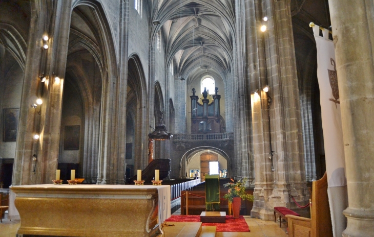 /*Co-Cathédrale Notre-Dame - Bourg-en-Bresse