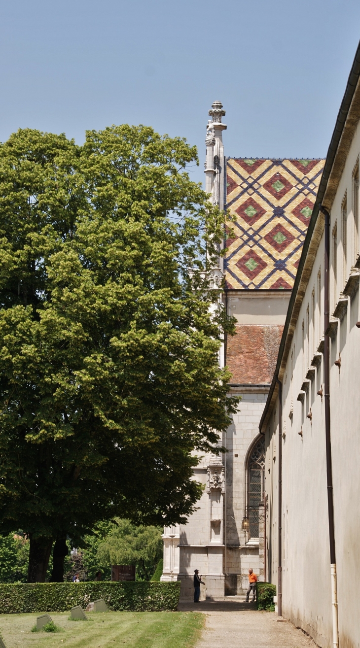  Monastère Royal de Brou (16 Em Siècle ) - Bourg-en-Bresse