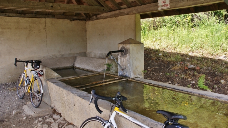 Le Lavoir - Brénod