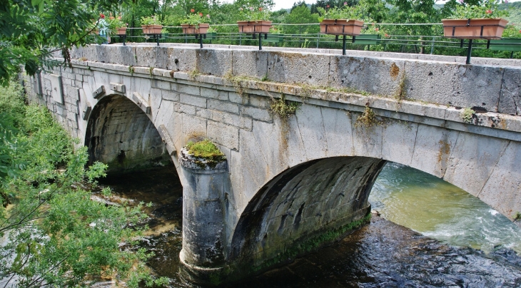 Pont sur L'Ange - Brion