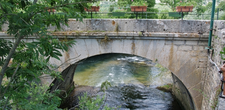 Pont sur L'Ange - Brion