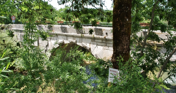 Pont sur L'Ange - Brion