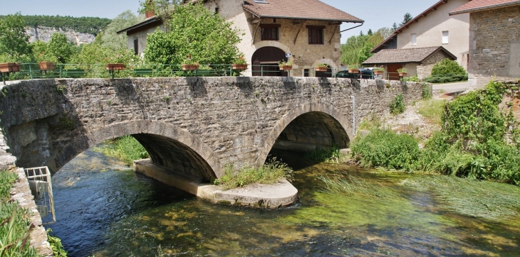 Pont sur L'Ange - Brion