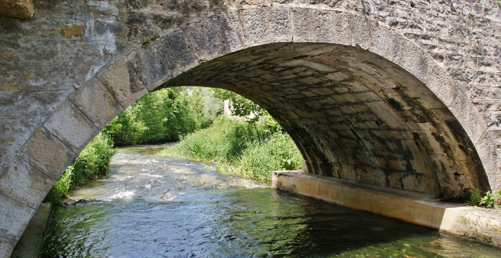 Pont sur L'Ange - Brion