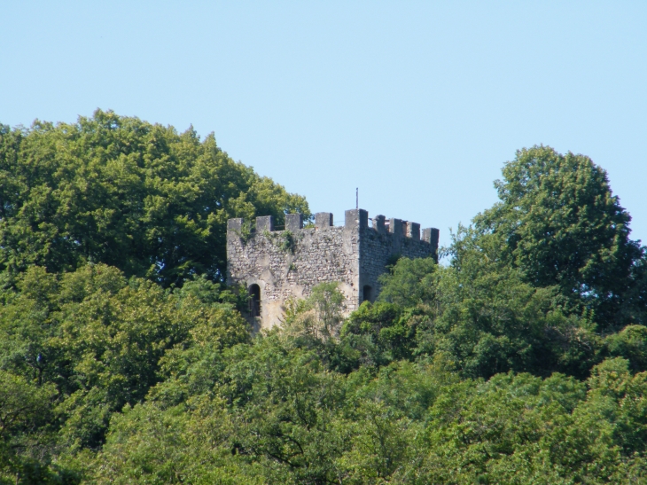 Tour du Chateau à VERIZIEU - Briord