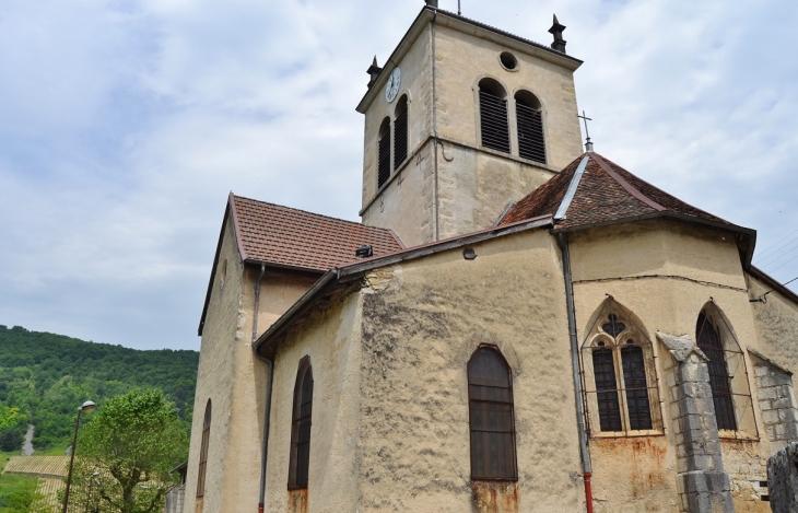 .Abbaye D'Epierre - Cerdon