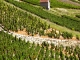 Photo suivante de Cerdon vignes à Cerdon