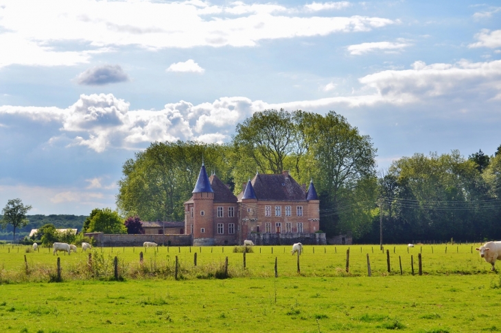 Chateau-de-Genoud a Certines