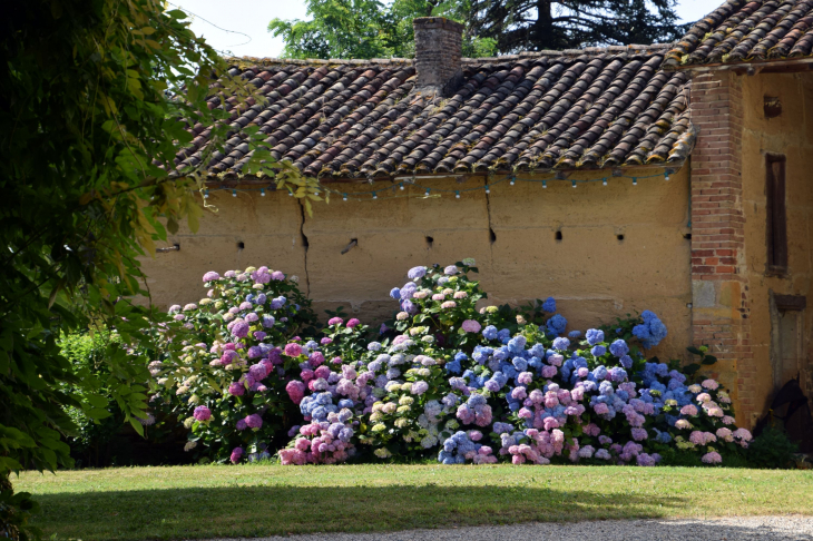 Ferme - Chaleins