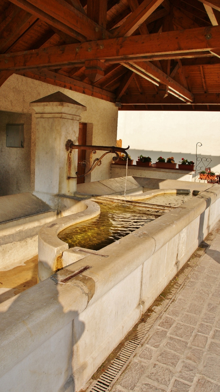 Le Lavoir - Champfromier