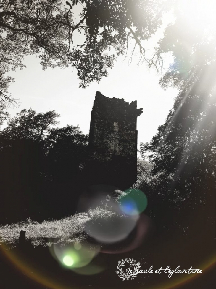 Le château du hameau de Dorches où dort une fabuleuse légende ( saule-eglantine.fr ) - Chanay