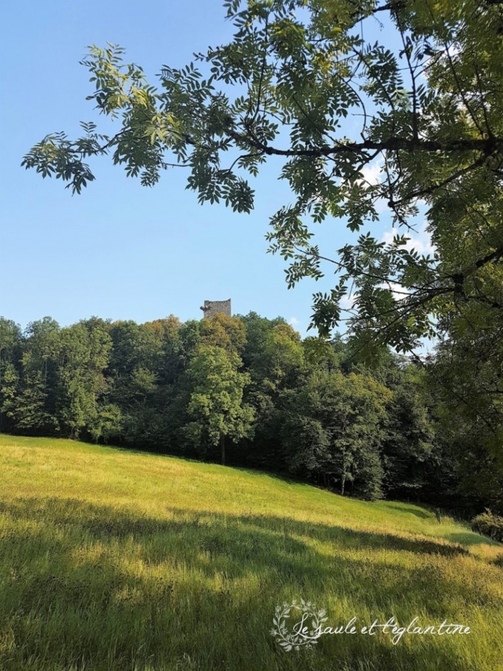 Vue sur la tour en ruine du château de Dorches ( saule-eglantine.fr ) - Chanay