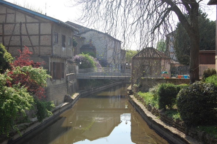 La Chalaronne - Châtillon-sur-Chalaronne